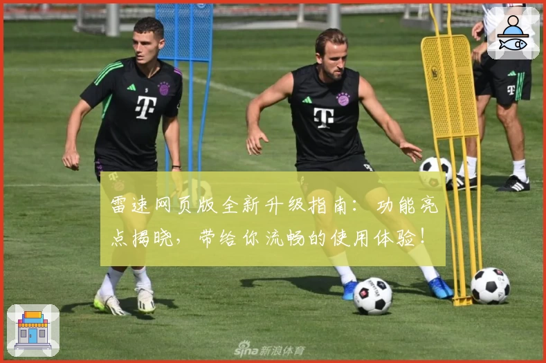 雷速网页版全新升级指南:功能亮点揭晓,带给你流畅的使用体验!