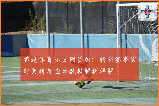 雷速体育比分网页版：精彩赛事实时更新与全面数据解析详解