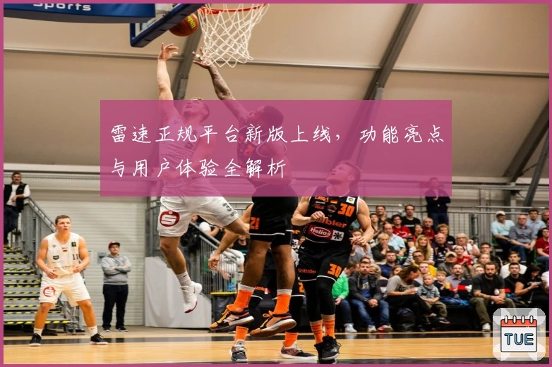 雷速正规平台新版上线，功能亮点与用户体验全解析