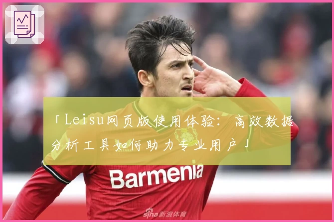 「Leisu网页版使用体验：高效数据分析工具如何助力专业用户」
