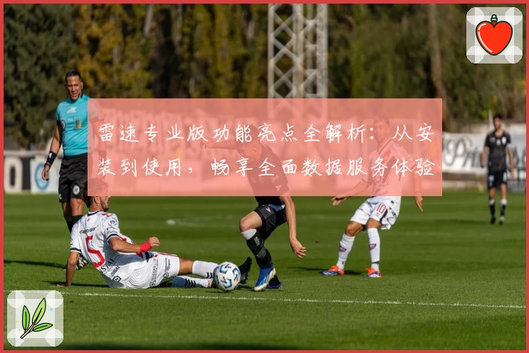 雷速专业版功能亮点全解析：从安装到使用，畅享全面数据服务体验